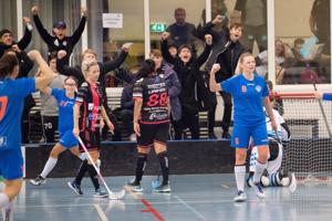 Pokalfinale: Damerne fra Frederikshavn Blackhawks fik stryg