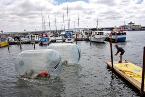 Boblen er bristet: Må aflyse populær havnefest på Mors