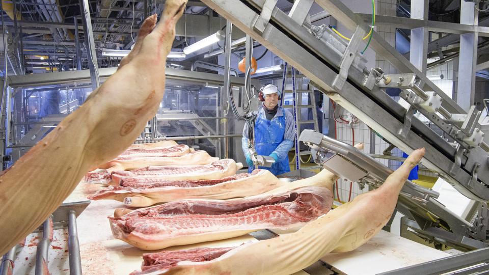 Kort før en varslet voldgiftssag om efterbetaling har Tican givet efter for pres fra vrede leverandører. <i>Arkivfoto: Peter Mørk</i>