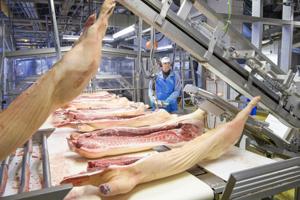 Kødmarked mættet: OL-udsættelse med til at koste 25 jobs på nordjysk slagteri