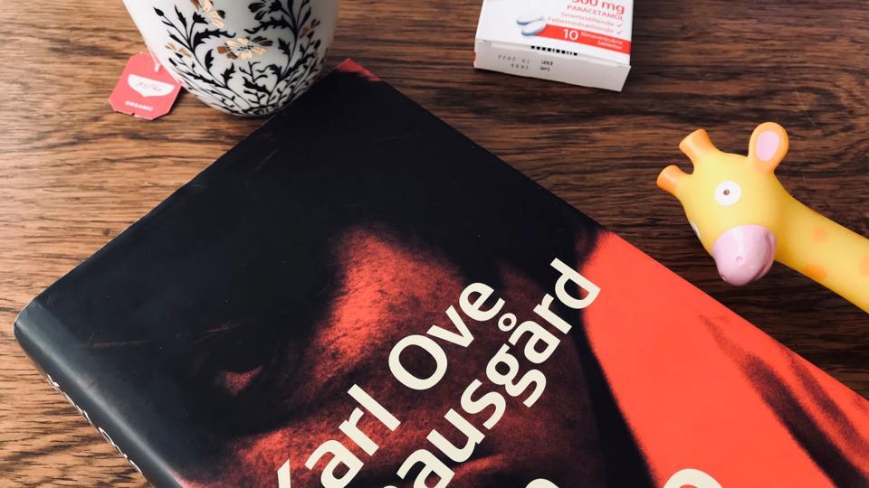 Vores kulturminister synes ikke, at det lige nu er på sin plads at kæmpe for kunsten. Men kære Joy, for mange mennesker er kultur et basalt behov – ikke mindst i disse dage, skriver Birgitte Sonne i denne klumme. Privatfoto