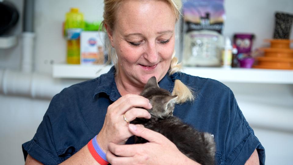 Anita Sønderup fra MinVenKatten ved Hobro har næsten ”udsolgt” af herreløse katte efter en uge, hvor rekordmange hentede et nyt familiemedlem. Arkivfoto: Henrik Bo