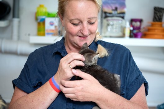 Anita har en stor kærlighed til katte, og hun er indehaver af katteinternatet MinVenKatten i Hobro. <i>Arkivfoto</i>