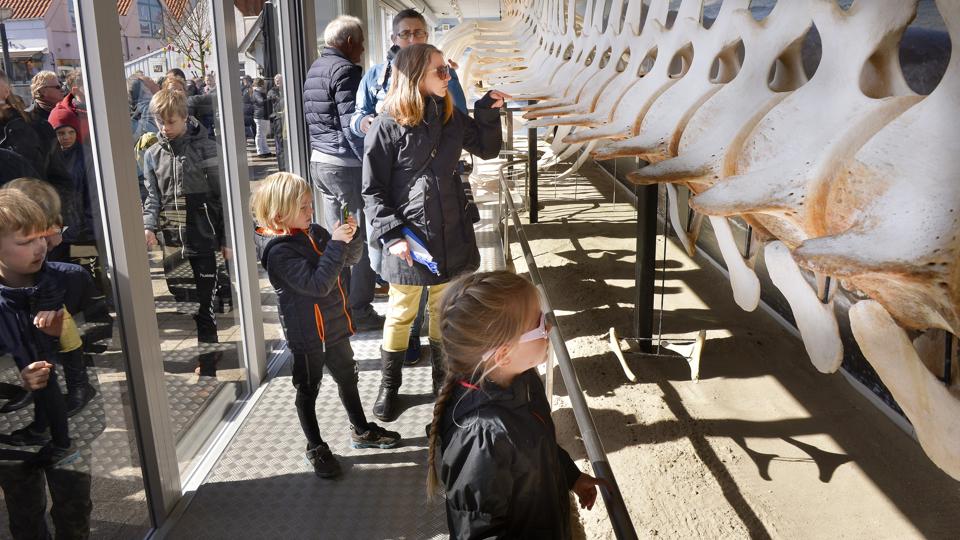 Gæsterne i Blokhus må vente lidt med at se eller gense det store skelet. Arkivfoto: Claus Søndberg