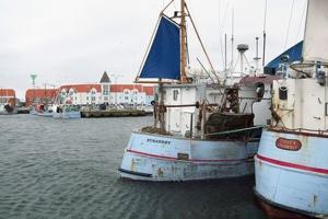 14 nordjyske fiskeskippere i opråb: - Mandskabet nægter at arbejde under overvågning