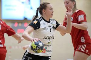 EH Aalborg rykker ned: Dansk Håndbold Forbund vinder klagesag
