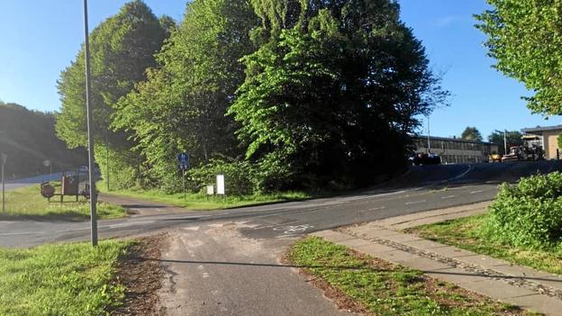Læbæltet langs Løgstørvej ved Sortebakkeskolen inden det blev fældet hen over pinsen. Privatfoto: Thomas Vammen