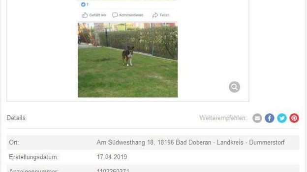 Det første opslag med Berta. Privatfoto.