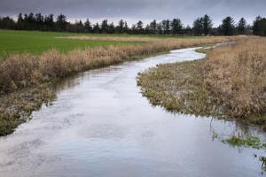 Nye krav til vandløb og åer: Mere vand skal ledes væk