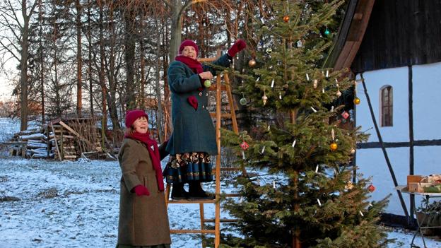 De næste uger vil der blive pyntet juletræer på alle tv-kanaler. Foto: Mike Kollöffel