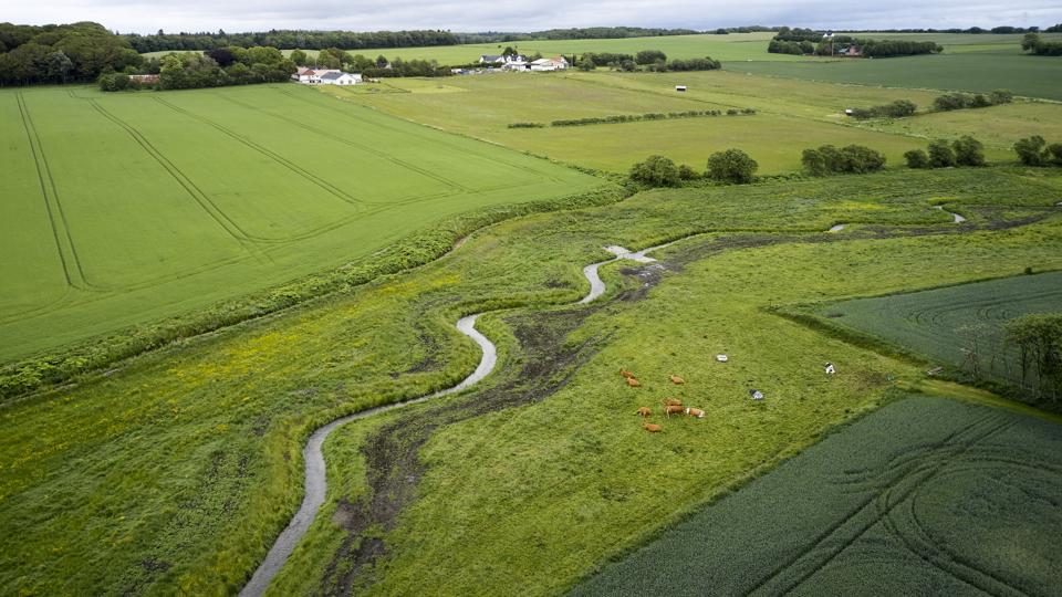 Efter genslyngningen ser Tostrup-Restrup Å nogenlunde ud som før, den blev flyttet for et kvart årtusinde siden. <i>Foto: Henrik Bo</i>