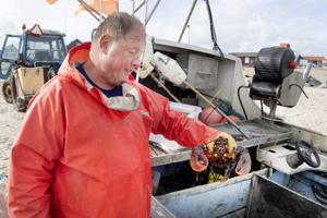 Makreller i tusindvis lokkede fiskere til: Desværre kom de for sent