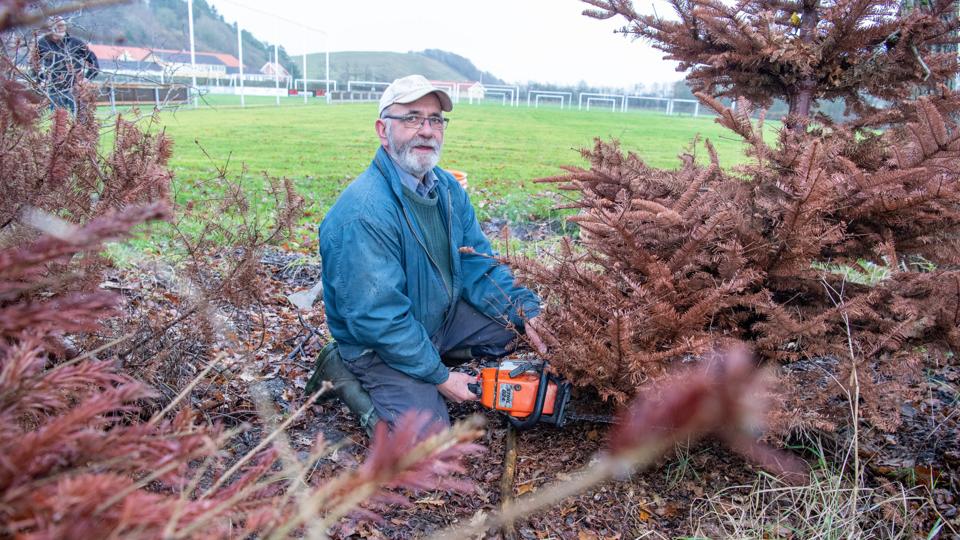 Der laves både indendørs og udendørs arbejde af Thise IFs Green Team, som Ole Christensen er en del af. Foto: Kim Dahl Hansen