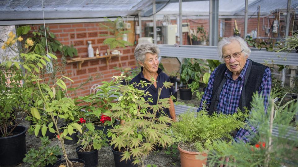 Efter 16 år med Orangeriet Nandina lukker Hanne Hansen og Poul Erik Brander deres planteskole.
