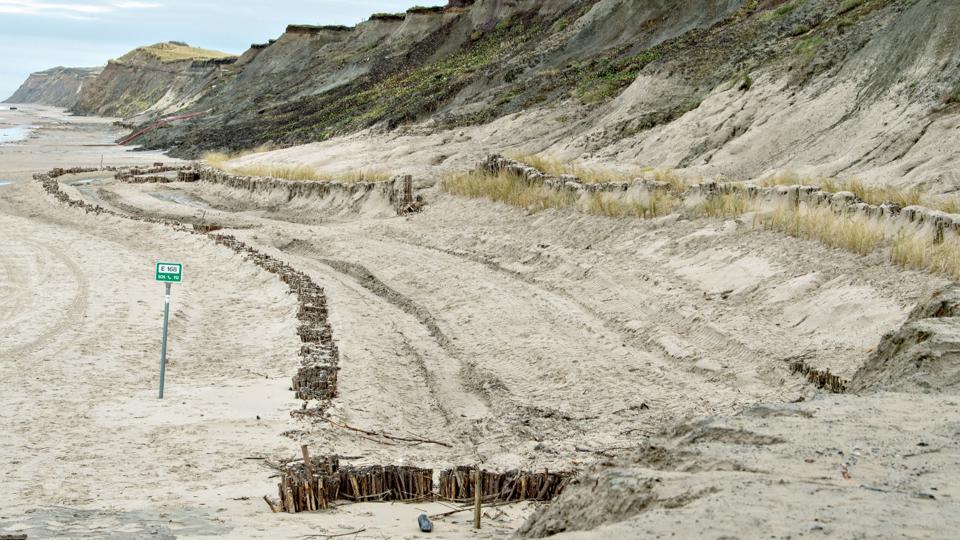 Kystsikring med pil ved Nørre Lyngby har skabt depoter af sand. Arkivfoto: Bente Poder