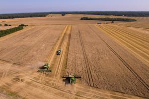 Frist for høst var 20. august: Hundredvis af nordjyske landmænd nåede det ikke - og det koster dyrt