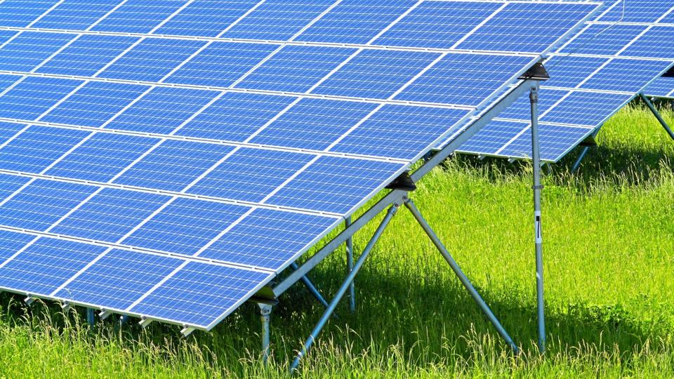 Ifølge lokalplanen skal 44 meter lange stativer med solceller opstilles på marken i flere rækker. Arkiv/genrefoto: Anlægsnyt