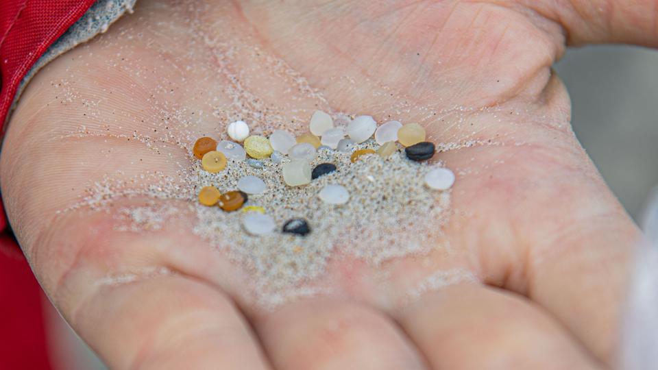 Plastik pellets fundet ved onsdagens walk & talk blandet med sand. Pellets er råmaterialet, som man bruger i hele plastikproduktionen. Foto: Kim Dahl Hansen <i>Kim Dahl Hansen</i>