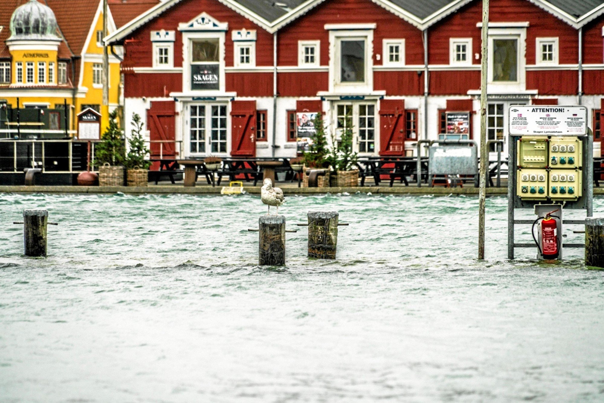 Se billederne: Vandet står højt i Nordjylland