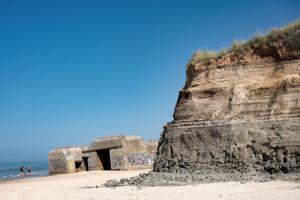 Strandfoged advarer: Folk skærer i 8000 år gamle egestammer