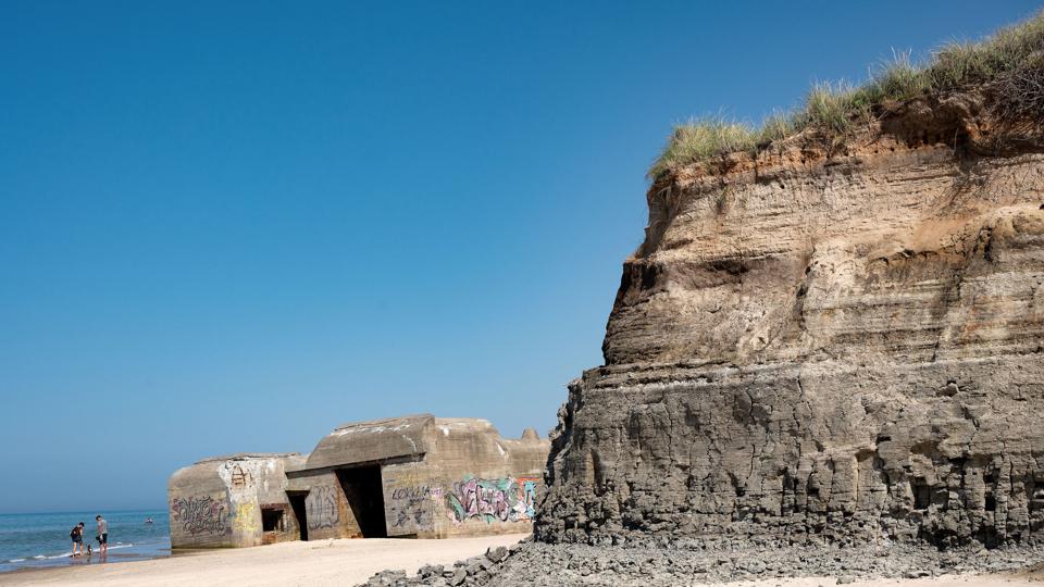 Det er forbudt at skære stykker af de gamle egestammer, der i ny og næ stikker ud af klinten ... det ved de fleste, men tilsyneladende ikke alle. Foto: Claus Søndberg