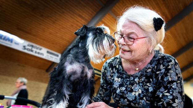 Bella, en Dværgsnauzer på otte år, sammenmed sin ejer Lillian Reif. Foto:Torben Hansen