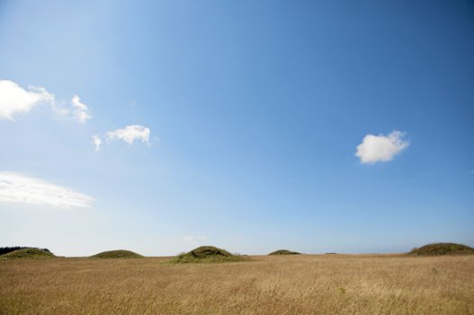 Et stort antal gravhøje viser, at Lemvig-egnen var tæt befolket i bronzealderen. Foto: Angelina Owino <i>Egon Kjøller</i>