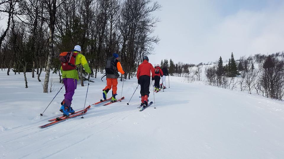 Randonnee-skiløb bliver mere og mere populært. Foto: Jakob Kanne Bjerregaard