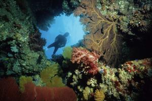 25 meter dybt dykkercenter skal få Nordjylland på Europakortet