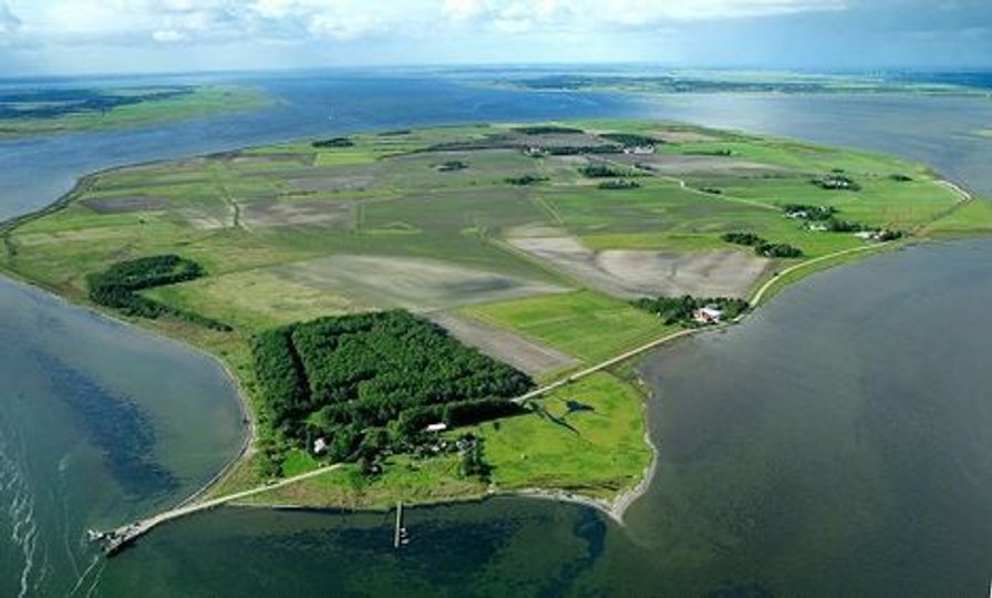 Langt det meste af den 605 hektar store ø er er ganske almindelige landbrugsmarker, der på ingen måde kan kaldes et naturskønt udflugtsmål.  Arkivfoto: Michael Koch