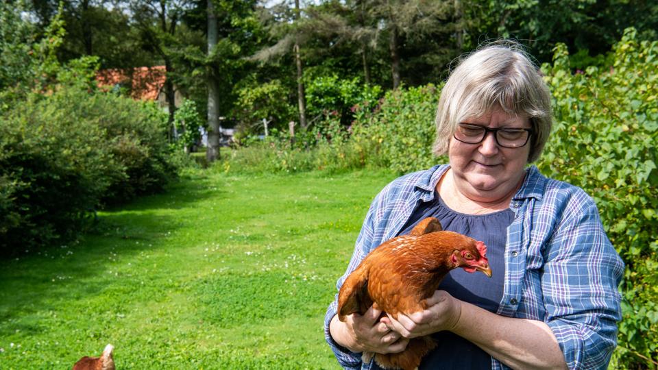 - Mine gæster har fået mig til at føle mig umådelig rig. De har åbnet mine øjne for herlighedsværdien i græsset under æbletræerne, det ubrugte shelter, den gamle klappehund og de selskabelige høns, siger Tove Michelsen. <i>Kim Dahl Hansen</i>