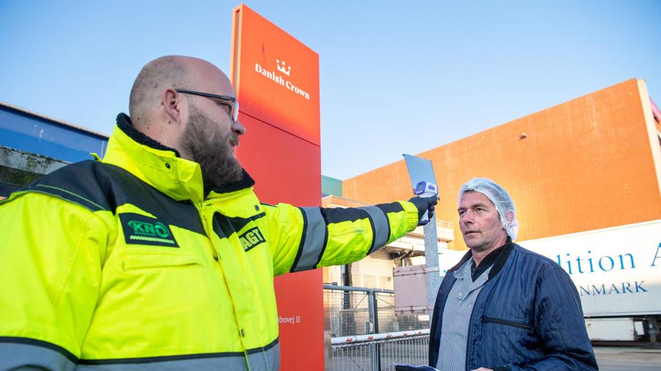 Thomas Bjørnlund fra Scandiavagt tjekker temperaturen på slagteriarbejder Jørgen JensenFoto: Bente Poder