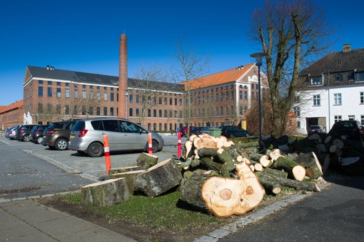 En af de antændte containere stod på Captain Møllers Plads. Arkivfoto