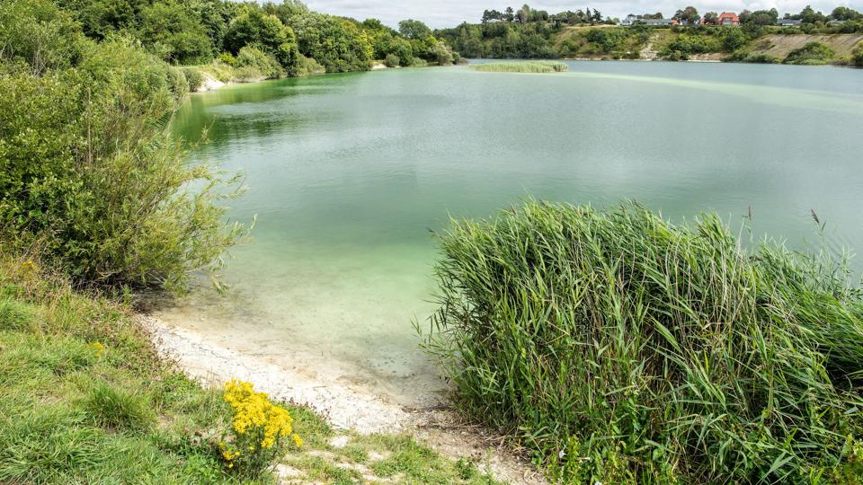 Vandet i kridtgravene kan se meget uskyldigt ud, men store forskelle i vandtemperaturer gør det farligt at bevæge sig ud i vandet. Foto: Peter Broen <i>Foto: Peter Broen</i>