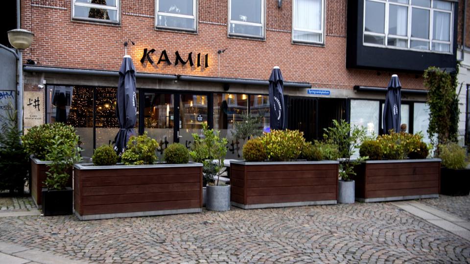 Kamii har i dette efterår rundet ti år i Hjørring, hvoraf størstedelen har været i den nuværende placering på Springvandspladsen. Foto: Henrik Louis