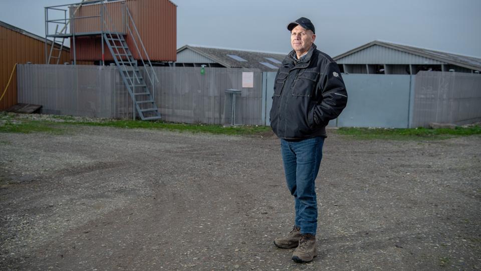 Erik Vammen har fortsat 4-5000 avlsdyr gående på sin farm. I hvilket omfang, det er tilfældet for andre minkavlere, har Fødevarestyrelsen ikke overblik over.