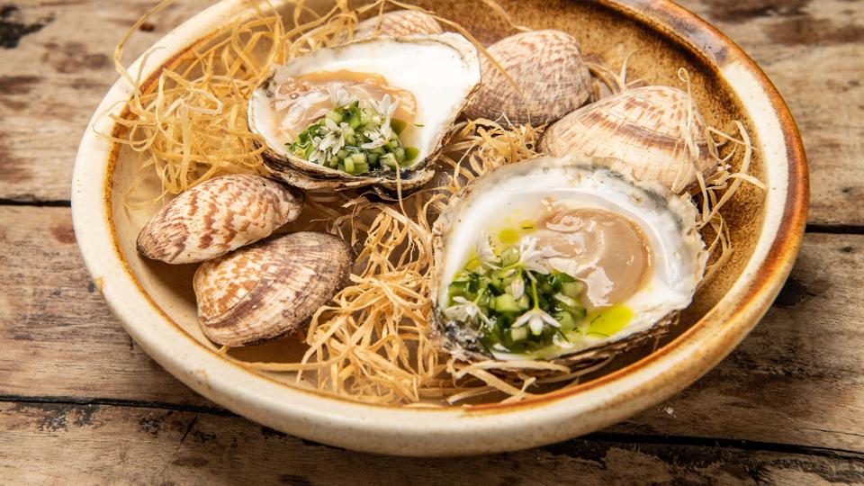 Limfjordsøsters med agurk og citron. <i>Foto: Peter Broen</i>