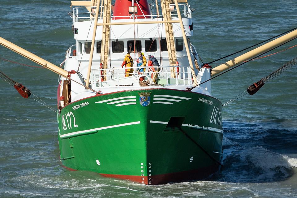 Flere hollandske bomtrawlere er i 2022 taget i ulovligt fiskeri i Skagerrak og Nordsøen. Her er det Sursum Corda UK 172, der i 2020 sejlede på grund ved Nr. Lyngby. <i>Arkivfoto: Peter Broen</i>