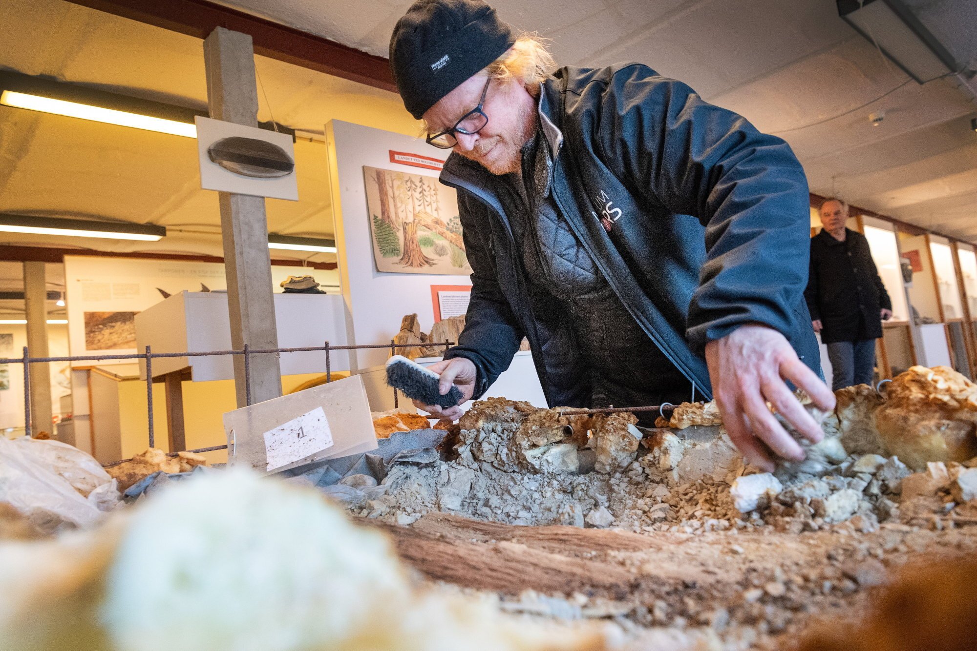 Henrik har fundet Danmarks største fossil