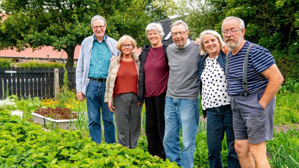 Haveforeningen Tusindfryd, der har køkkenhave hos Mogens Kruse og Bente Lauridsen i Kallerup lidt endnu. Fra venstre: Kristian Bech, Bodil Hausgaard, Jytte Vinther, Lars Vinther, Bente Lauridsen og Mogens Kruse. Foto: Diana Holm
