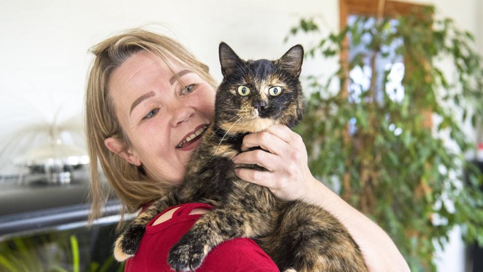 Katten Zjoke var væk i mere end tre år, men fandt alligevel hjem til en glad ”kattemor”, Mette Bækgaard. Foto: Kim Dahl Hansen