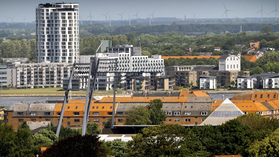 Fra Søndre Skovvej i Mølleparken kan man se til vestbyen og Nørresundby. Foto: Lars Pauli <i>Foto: Lars Pauli</i>