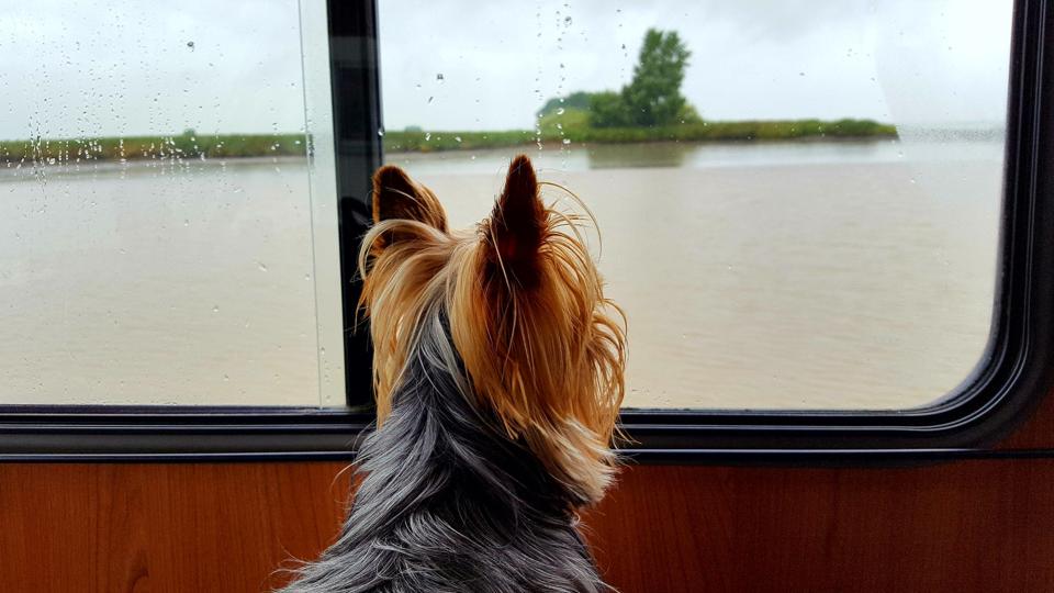 Mikkels yndlingsplads, når han er med på ferie i autocamperen. Privatfoto