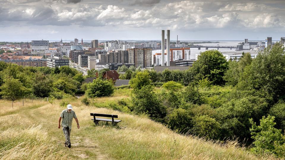 Signalbakken ligger ganske tæt på Aalborgs centrum: Herfra kan man overskue hele stor-Aalborg og Nørresundby. Foto: Lars Pauli <i>Foto: Lars Pauli</i>