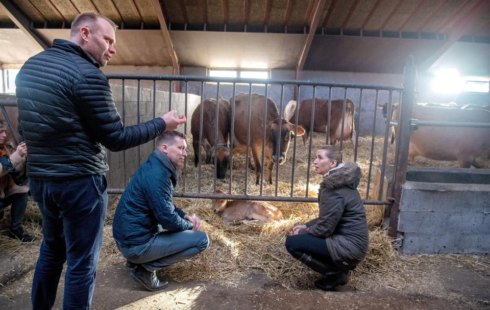 I stalden med nyfødte kalve, blev det til en snak om, hvordan corona og nedlukning har betydet, at landbruget ikke kan sælge tyrekalve til udlandet. I midten er det den nye formand for Landbrug & Fødevarer Søren Søndergaard.