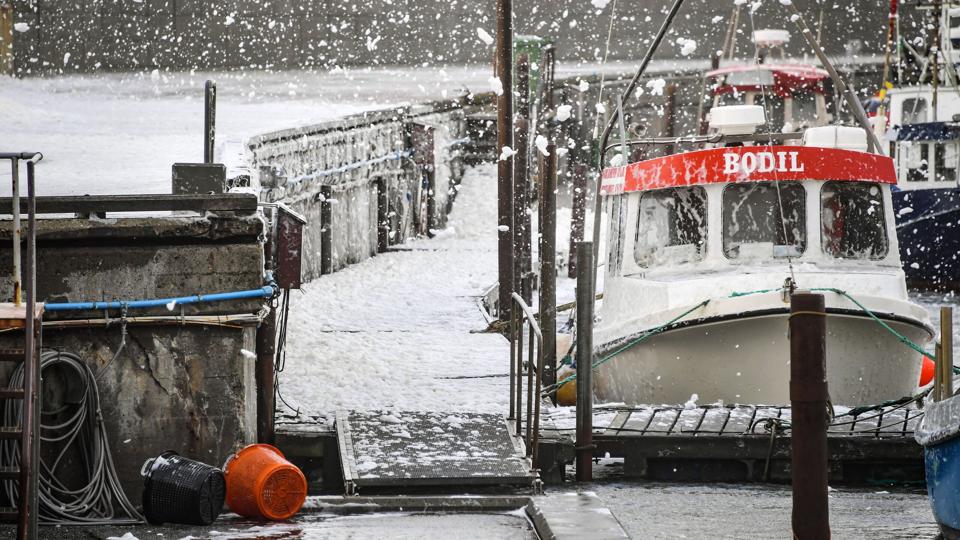 Det lignede angiveligt snevejr, da skummet flød ind over havnen i Hirtshals i det voldsomme blæsevejr søndag. Foto: Claus Søndberg