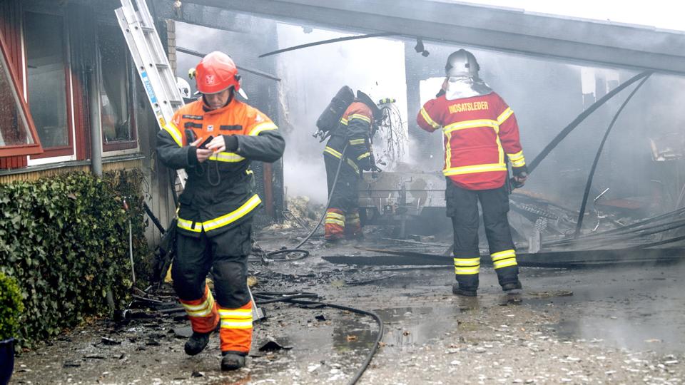 Foto: Lars Pauli <i>Foto: Lars Pauli</i>