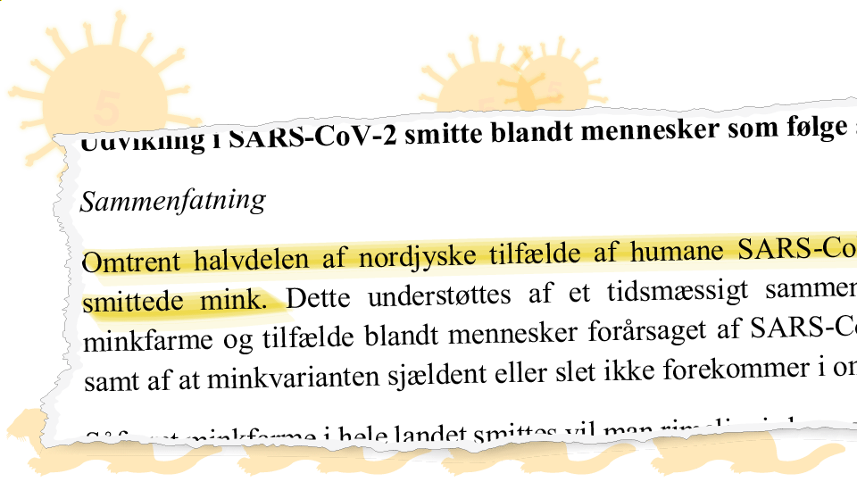 Statens Serum Institut skrev 3. november i en risikovurdering til Fødevareministeriet, at "omtrent halvdelen" af alle nordjyder var smittet med minkvarianter. Tallet var 37 procent. Grafik: Christian Made Hagelskjær