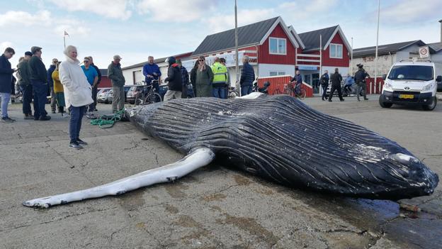 Foto: Peter Jørgensen