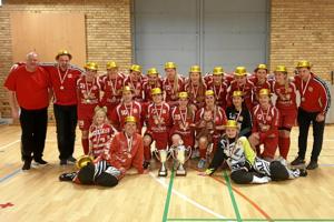 Pokalfinale: AaB Floorball slog Frederikshavn Blackhawks i overbevisende stil